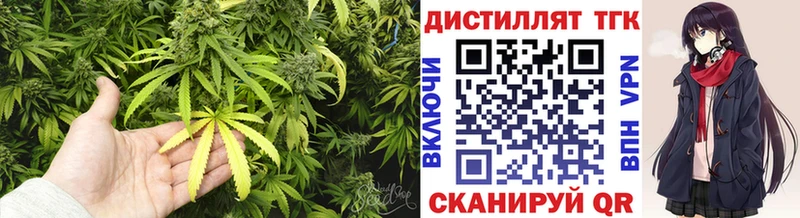 где найти   Яблоновский  Дистиллят ТГК THC oil 
